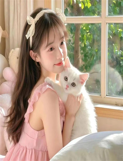 深度影评 专业影视分析师带你了解巧克力猫王的文化内涵与社会意义